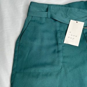 Teal shorts